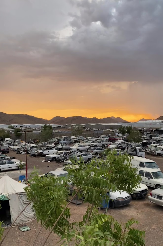 تشليح البيان في المدينة المنورة