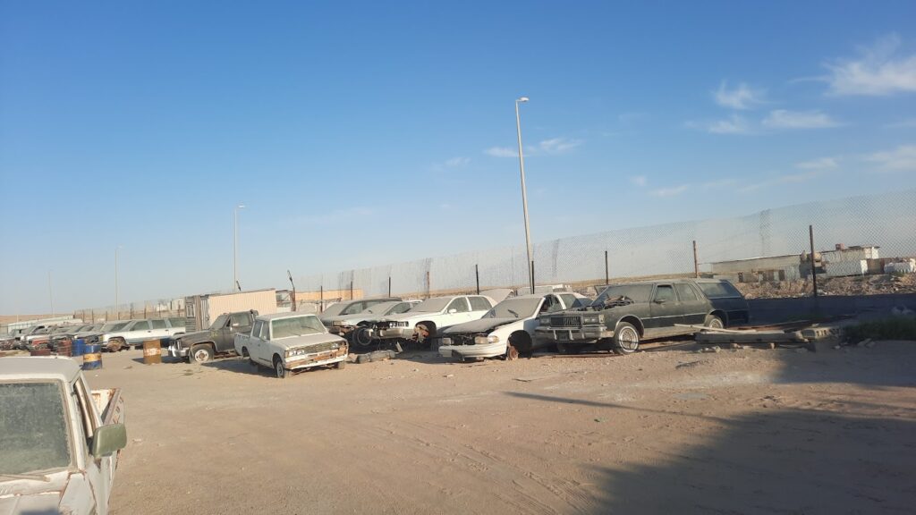 تشليح الربيع في الهفوف