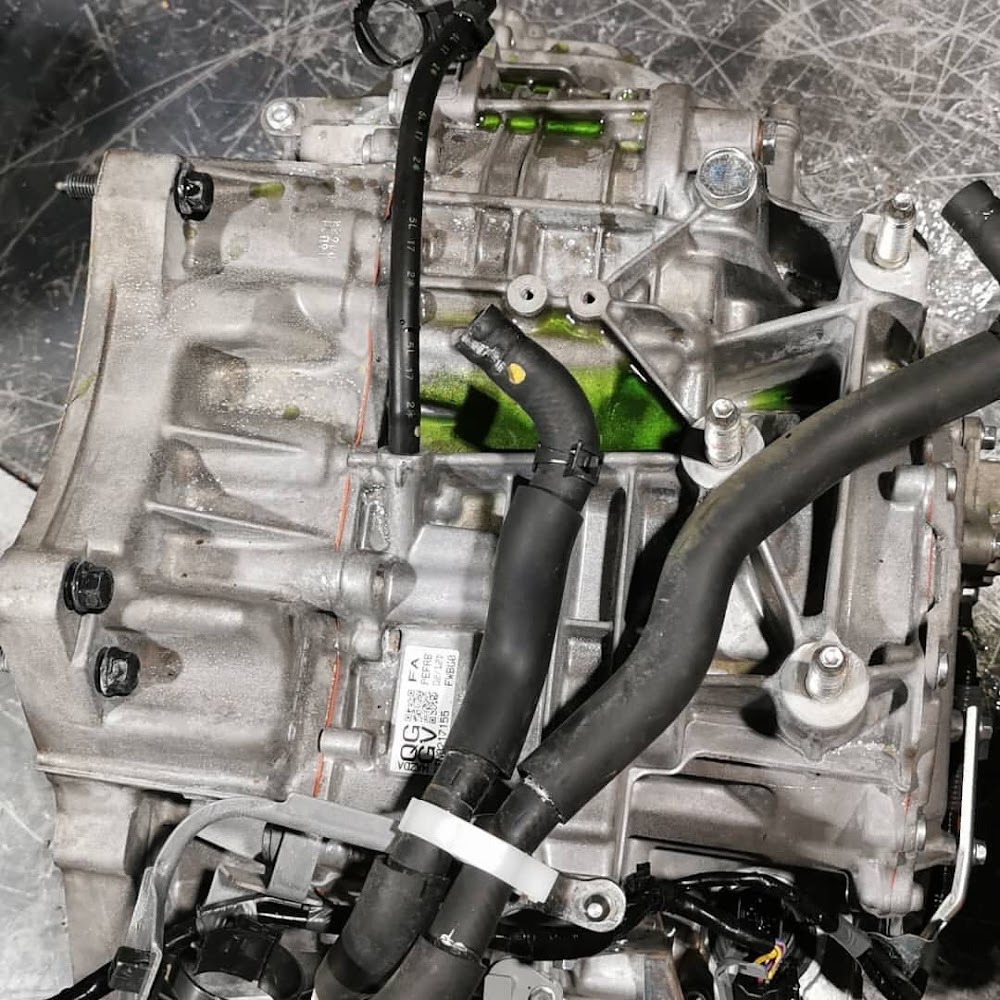 تشليح التسامح في المدينة المنورة