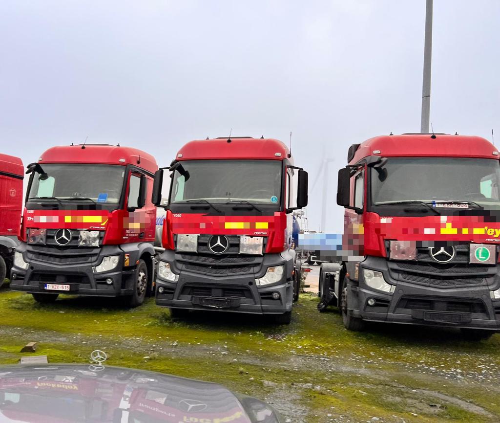 Duba Tabuk في ضباء