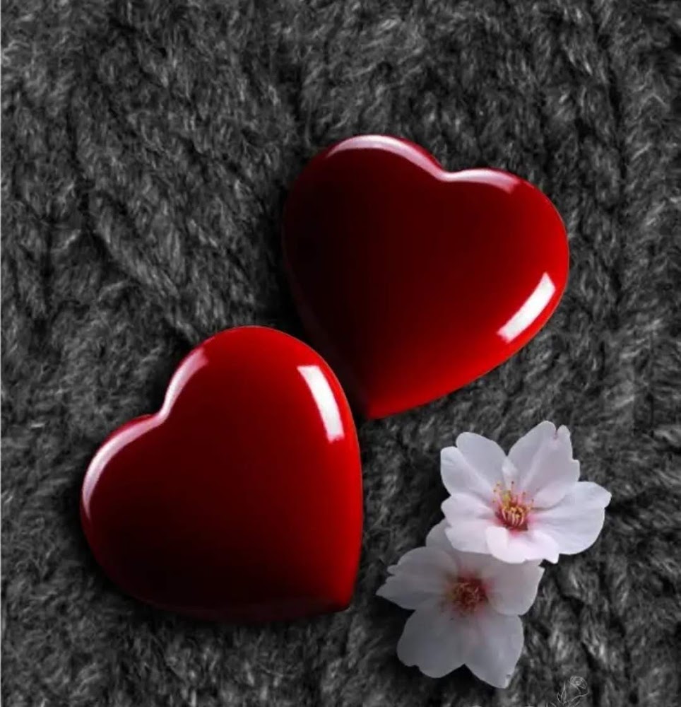 قوة البرق فرع الجنوب - THUNDER في خميس مشيط