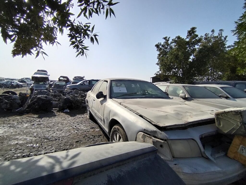 moharaka scarab Tashliyah في الظهران